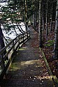 _MG_4438 Spruce Knob Lake boardwalk-fall.jpg