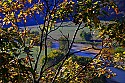 _MG_4696 fall color with the potomac river as a backdrop.jpg