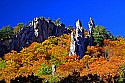 _MG_5774 judy gap fall color.jpg