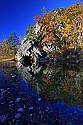 _MG_5978 south fork of the potomac.jpg