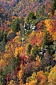 _MG_8937 blackwater river canyon with fall color.jpg