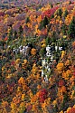 _MG_8962 blackwater river canyon with fall color.jpg