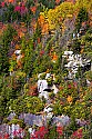 _MG_8970 blackwater river state park-overlook-fall color.jpg