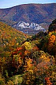 IMG_2333 seneca rocks with fall color.jpg