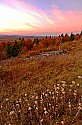 spruce knob sunset.jpg