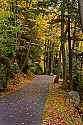 _MG_6668 Road to cabins at Glade Creek Grist Mill at Babcock State Park.jpg