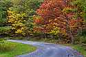 _MG_6965 fall color along the road to  Babcock State Park.jpg