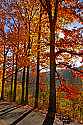 _MG_8890 Lewis County fall color.jpg