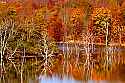 _MG_9066 Stonewall Jackson Lake State Park.jpg