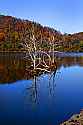 _MG_9106 Stonewall Jackson Lake State Park.jpg