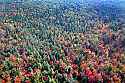 DSC_5539 fall color aerial near Route 93-Thomas.jpg