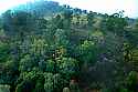 DSC_5600 green mountainside.jpg