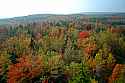 DSC_5692 fall color dolly sods area.jpg