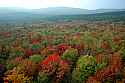 DSC_5704 fall color--dolly sods area.jpg