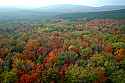 DSC_5706 Fall color--Dolly Sods Area.jpg