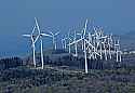 DSC_8177 wind turbines in WV 13x19.jpg