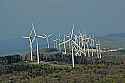 DSC_8177 wind turbines.jpg