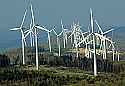 DSC_8179 Wind Trubines near Thomas WV 13x19.jpg