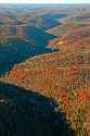 DSC_9566 last of the fall color in west virginia.jpg