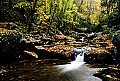 02255-00611 Wolfe Creek, WV.jpg