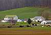 _DSC3294 amish in carraiges.jpg