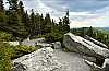 DSC_1338 spruce knob-trail.jpg