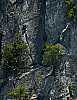 DSC_2137 rock climbers seneca rocks.jpg