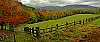 DSC_4446 fence and fall color  8.3x20.jpg