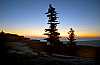 DSC_4567 13x19 bear rocks, dolly sods, fall morning.jpg