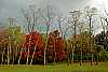 DSC_4787 blackwater falls fall color.jpg