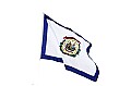 State Flag.psd