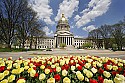 _MG_0622  tulips, clouds and capitol.jpg