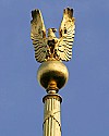 _MG_4367 dome's golden eagle sharpened more.jpg