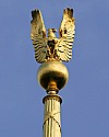 _MG_4367 dome's golden eagle.jpg