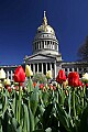 _MG_9767 capitol dome.jpg