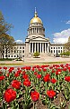 Capitol Dsc_7261 front tulips - tourism.jpg