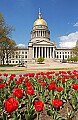 Capitol Dsc_7261 front tulips 20x36.jpg