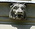 DSC_0138 lion.jpg