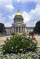 DSC_3294 capitol cannas 2.jpg