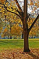 DSC_8882 fall color at the West Virginia state capitol complex.jpg