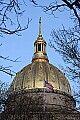 N0001013 capitol dome and flag.jpg