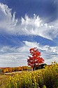 _MG_1766 canaan valley state park-spectacular clouds-fall color.jpg