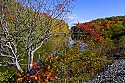 _MG_2036 the south fork of the blackwater river.jpg