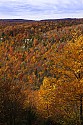 _MG_2224 blackwater falls state park-wv-and backbone mountain with wind turbines in the background.jpg