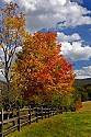 _MG_2458 rail fence along canaan valley state park boundary.jpg