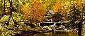 DSC_0013 Grist Mill babcock SP pan fall.jpg