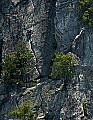 DSC_2137 rock climbers seneca rocks.tif