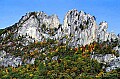 WMAG555 seneca rocks, fall.jpg