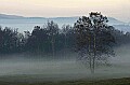 DSC_3656 cades cove in fog.jpg