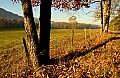 DSC_3786 Cades Cove.jpg
